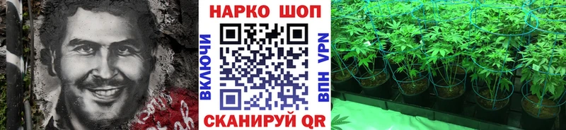 Где можно купить наркотики Курчалой Канабис Меф мяу мяу КОКАИН АМФ ГАШИШ