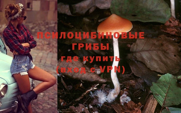 прущие крисы Корсаков