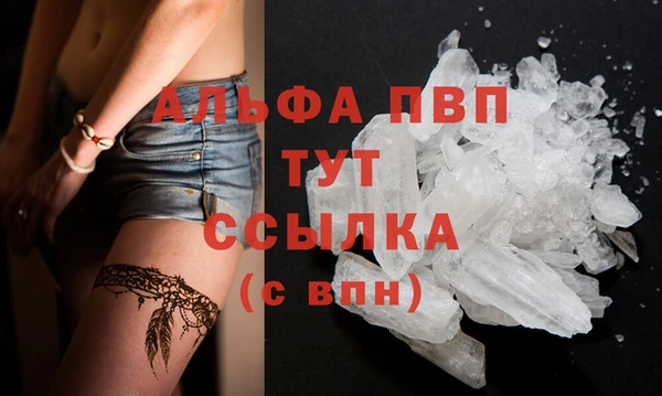 прущие крисы Корсаков