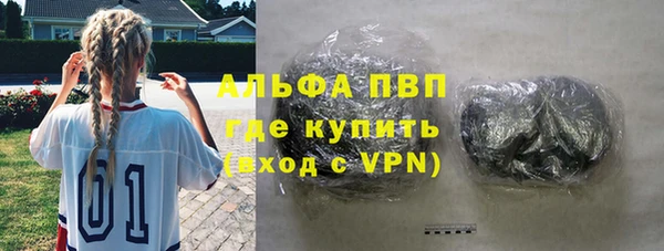 прущие крисы Корсаков