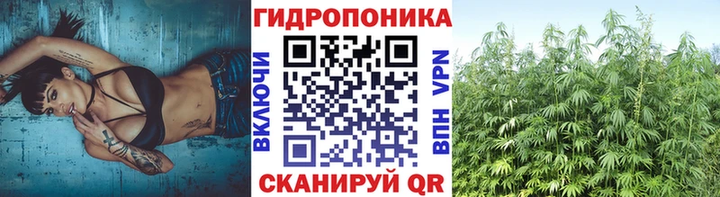 Канабис ГИДРОПОН Курчалой